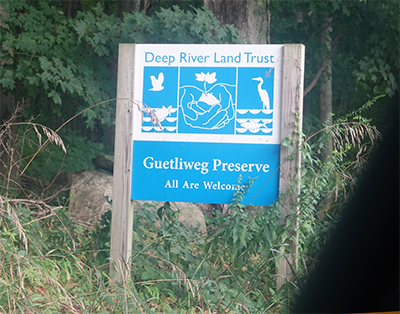 Photo of Guetligweg Preserve